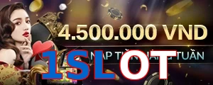1SLOT